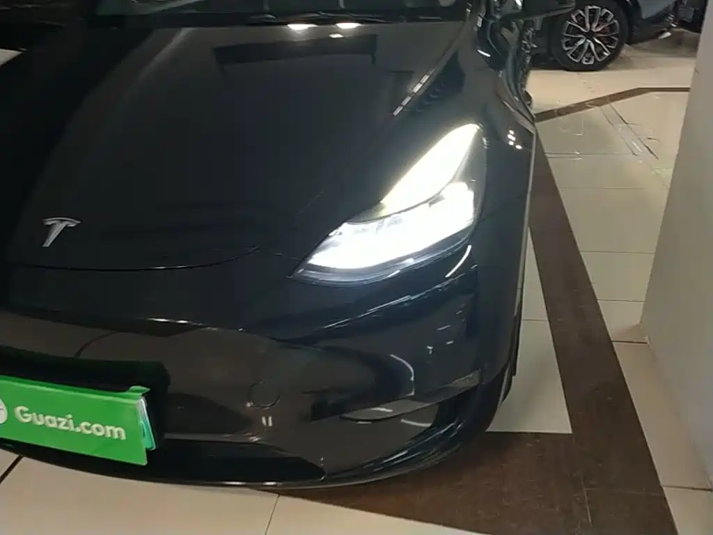Tesla Model Y — фото 24