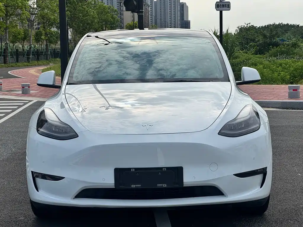 Tesla Model Y — фото 2