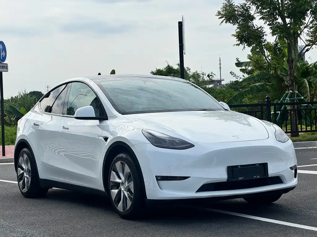 Tesla Model Y — фото 3