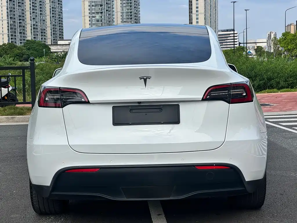 Tesla Model Y — фото 10