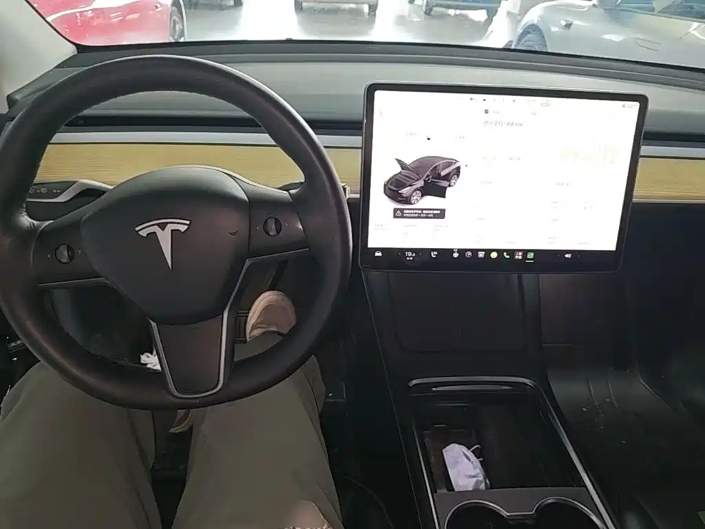 Tesla Model Y — фото 10