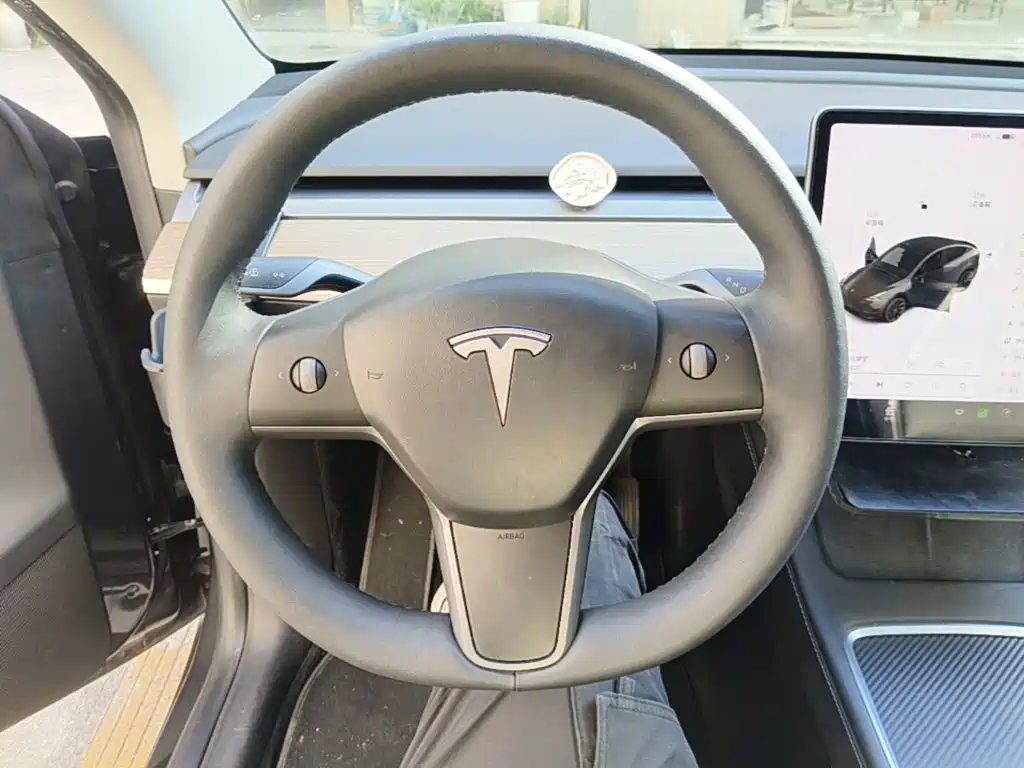 Tesla Model Y — фото 11