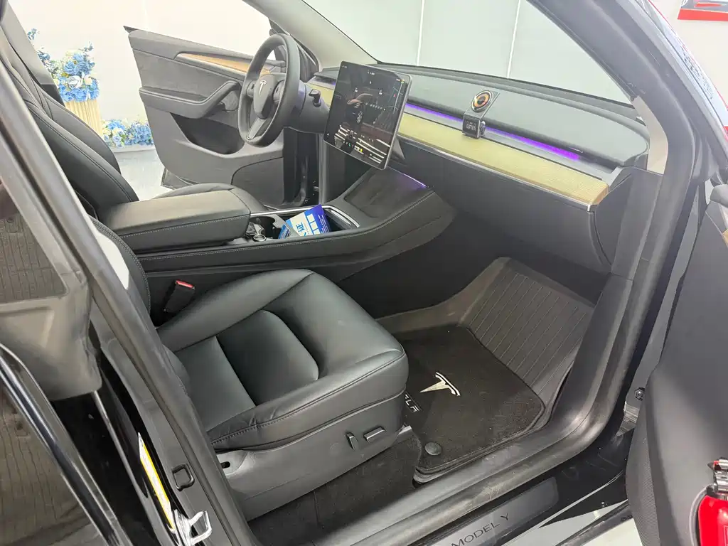 Tesla Model Y — фото 17