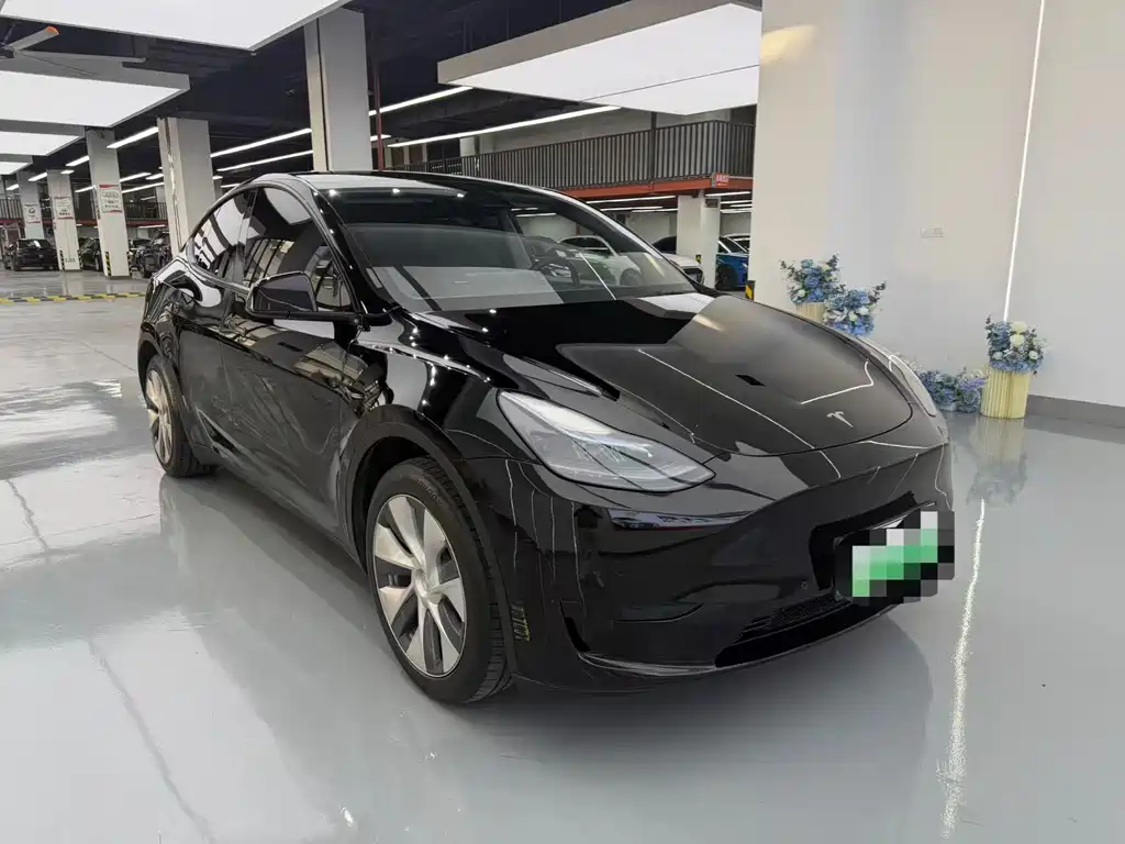 Tesla Model Y — фото 3