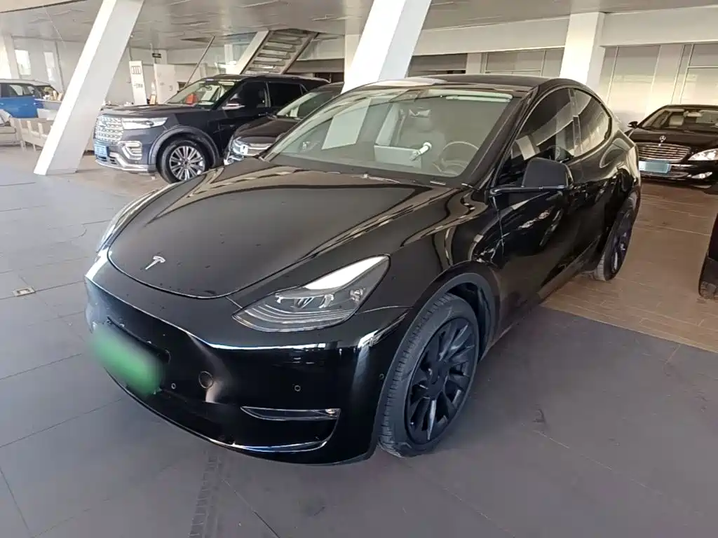 Tesla Model Y — фото 2