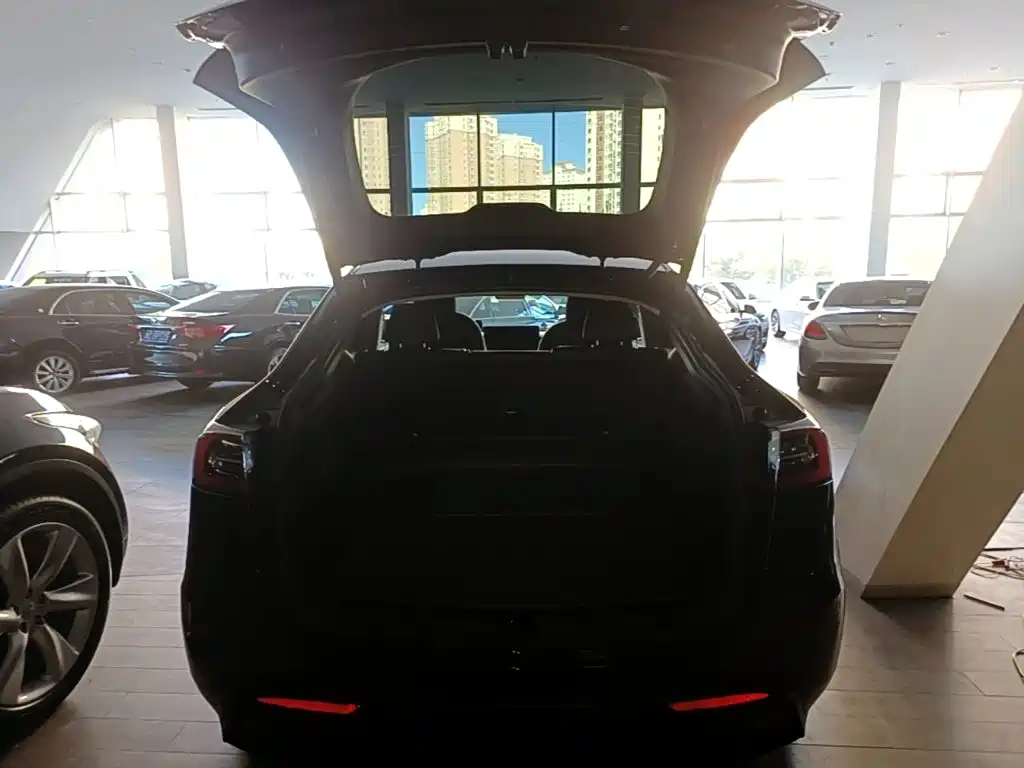 Tesla Model Y — фото 19
