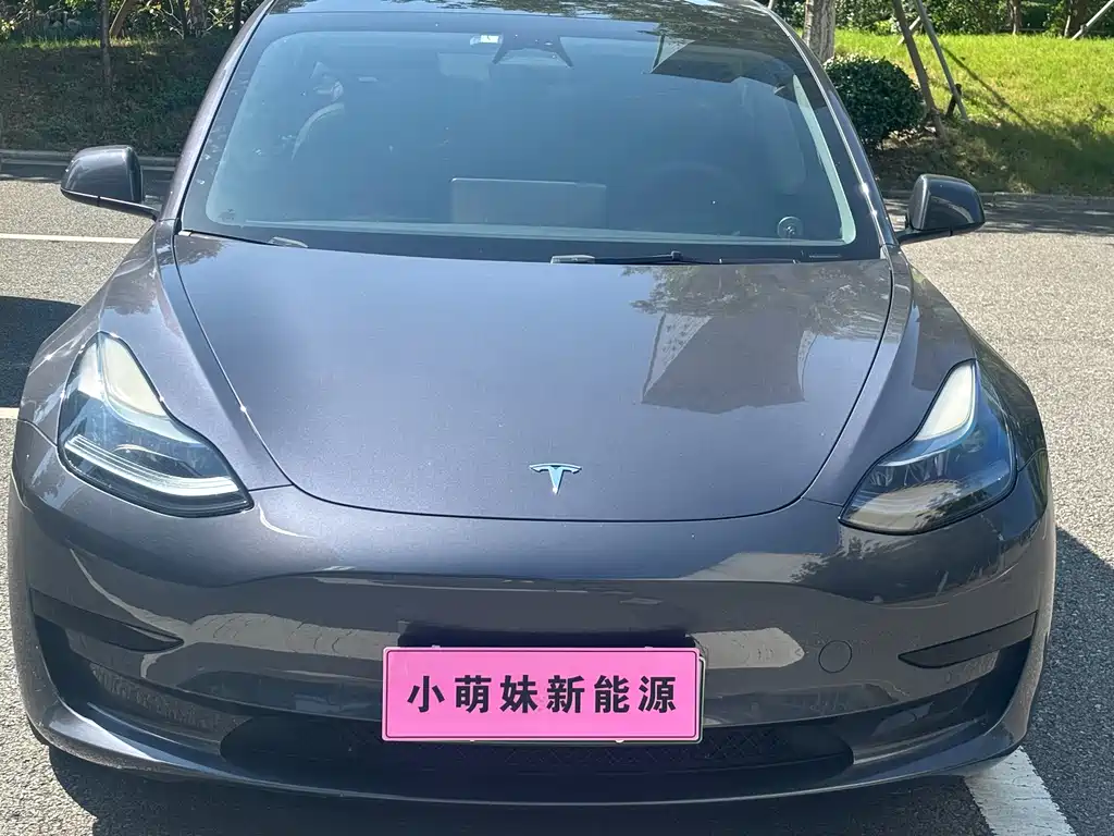 Tesla Model 3 — фото 2