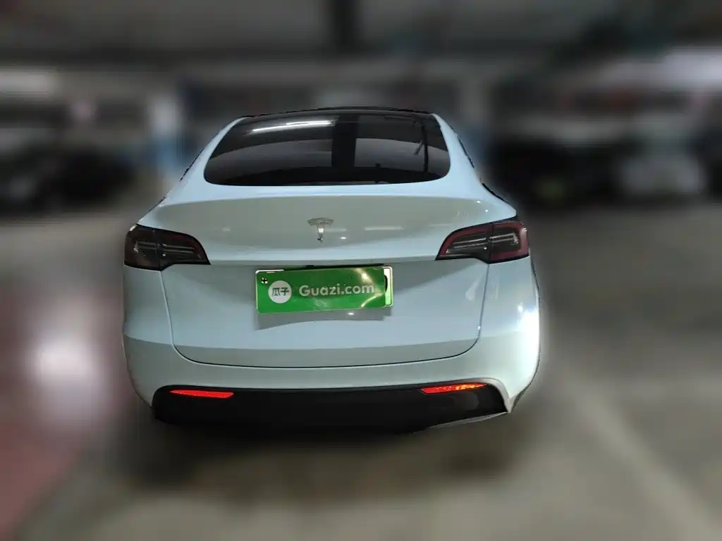 Tesla Model Y — фото 3