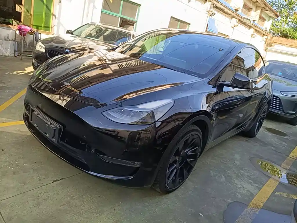 Tesla Model Y — фото 2