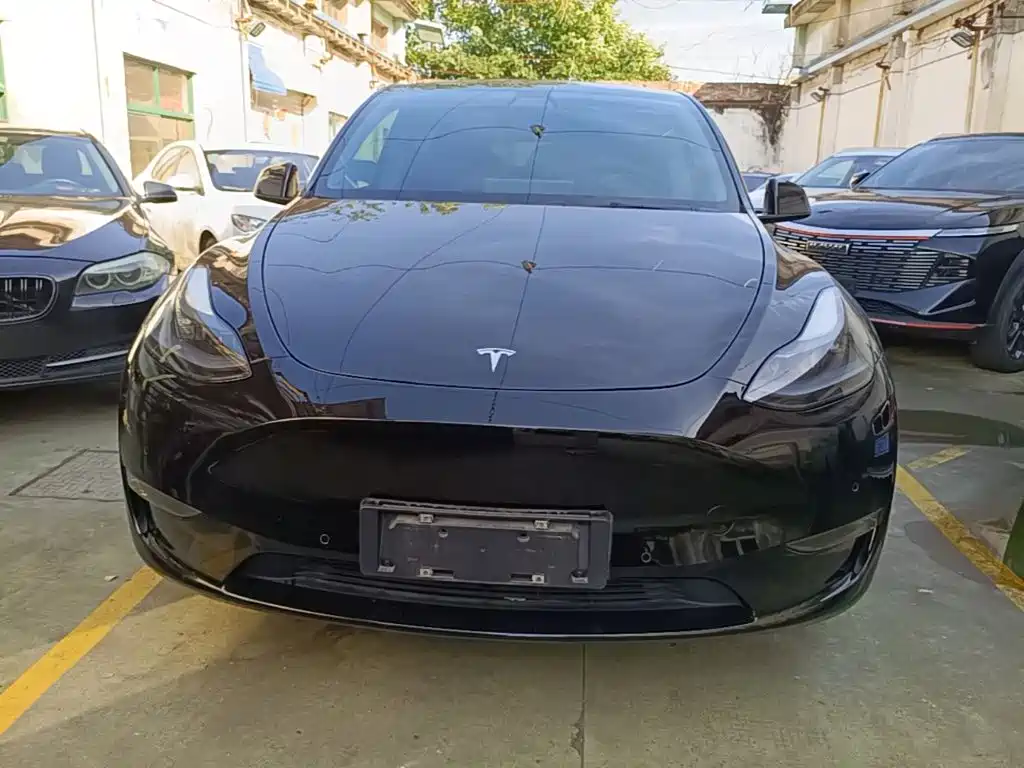 Tesla Model Y — фото 3