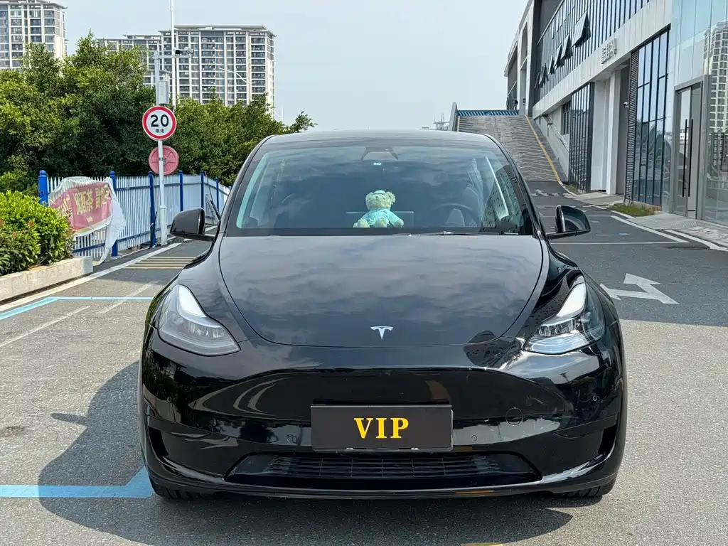 Tesla Model Y — фото 2