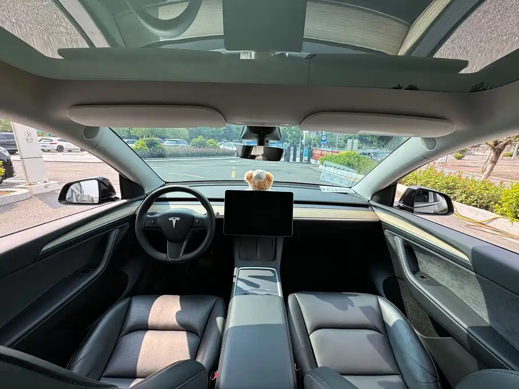 Tesla Model Y — фото 7