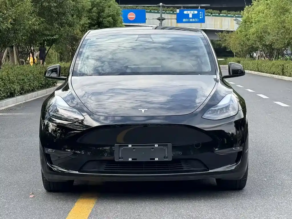 Tesla Model Y — фото 2