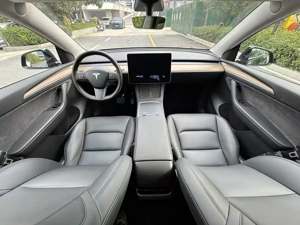 Tesla Model Y — фото 11
