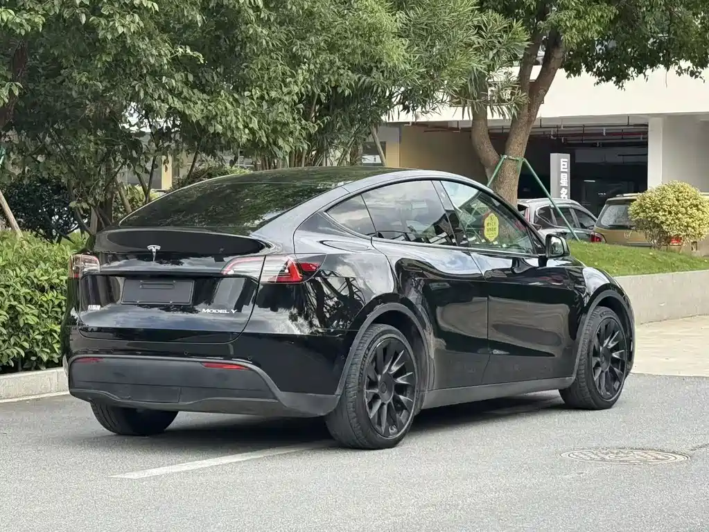 Tesla Model Y — фото 3
