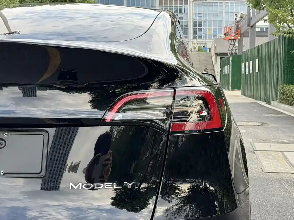 Tesla Model Y — фото 21