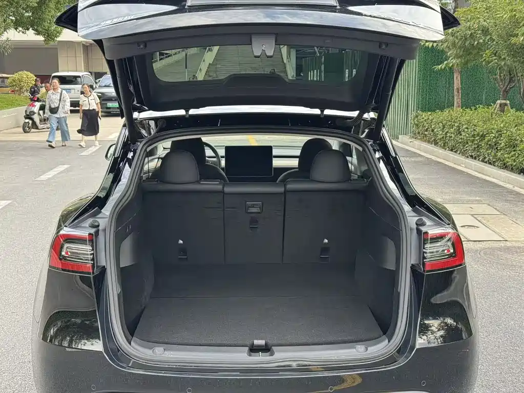 Tesla Model Y — фото 22