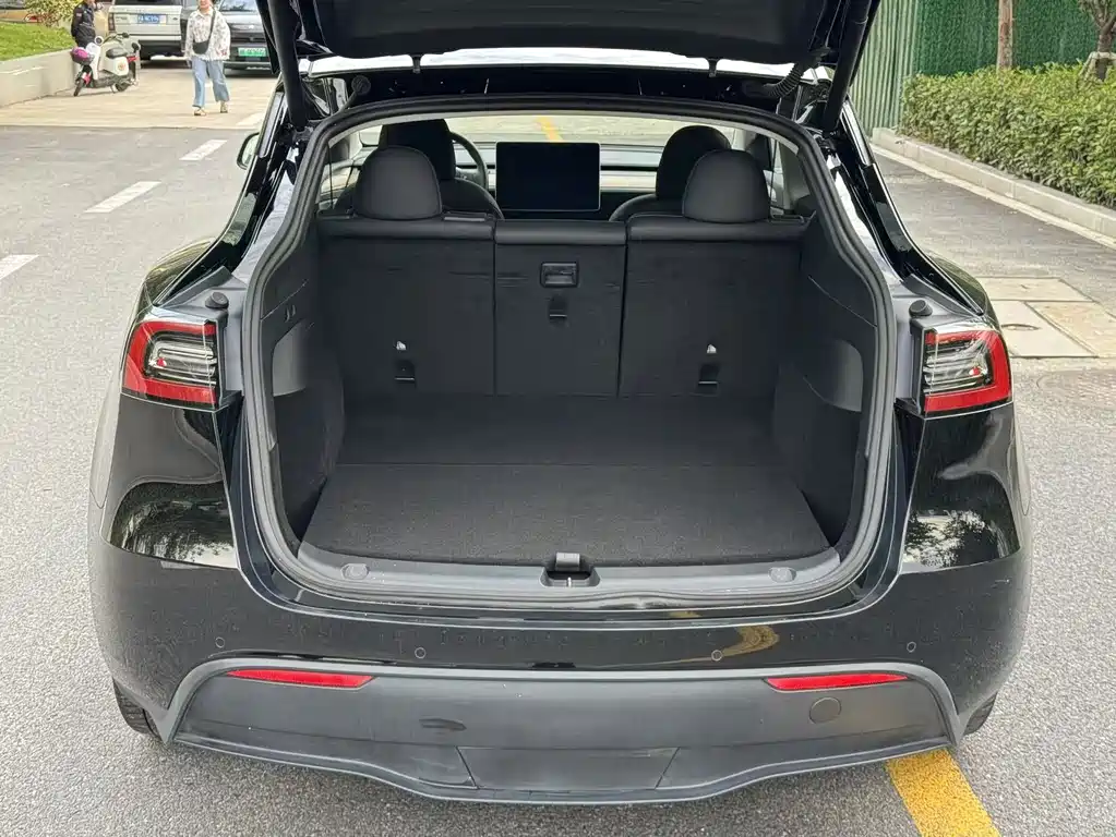Tesla Model Y — фото 23