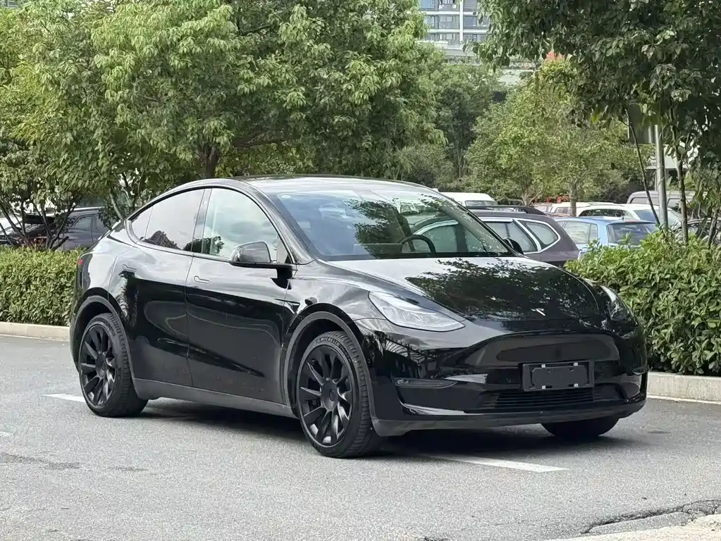 Tesla Model Y — фото 4