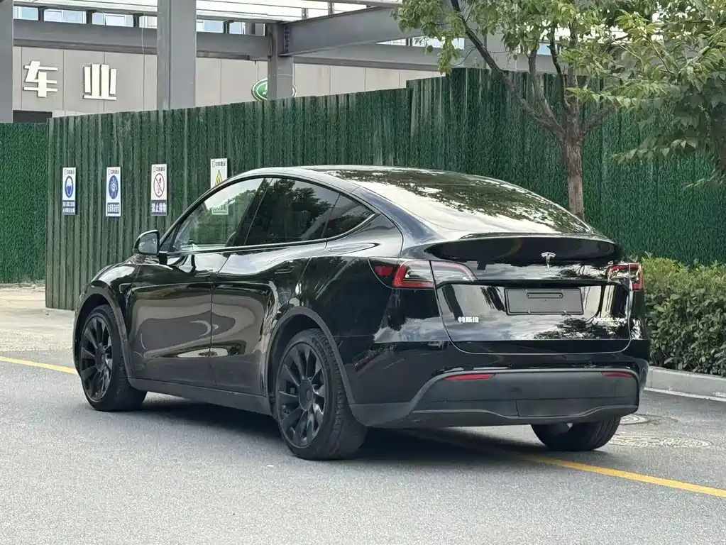 Tesla Model Y — фото 6