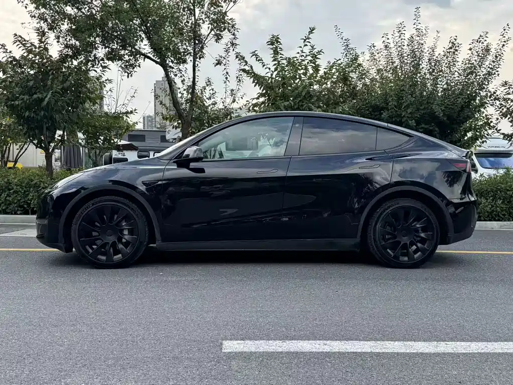 Tesla Model Y — фото 7