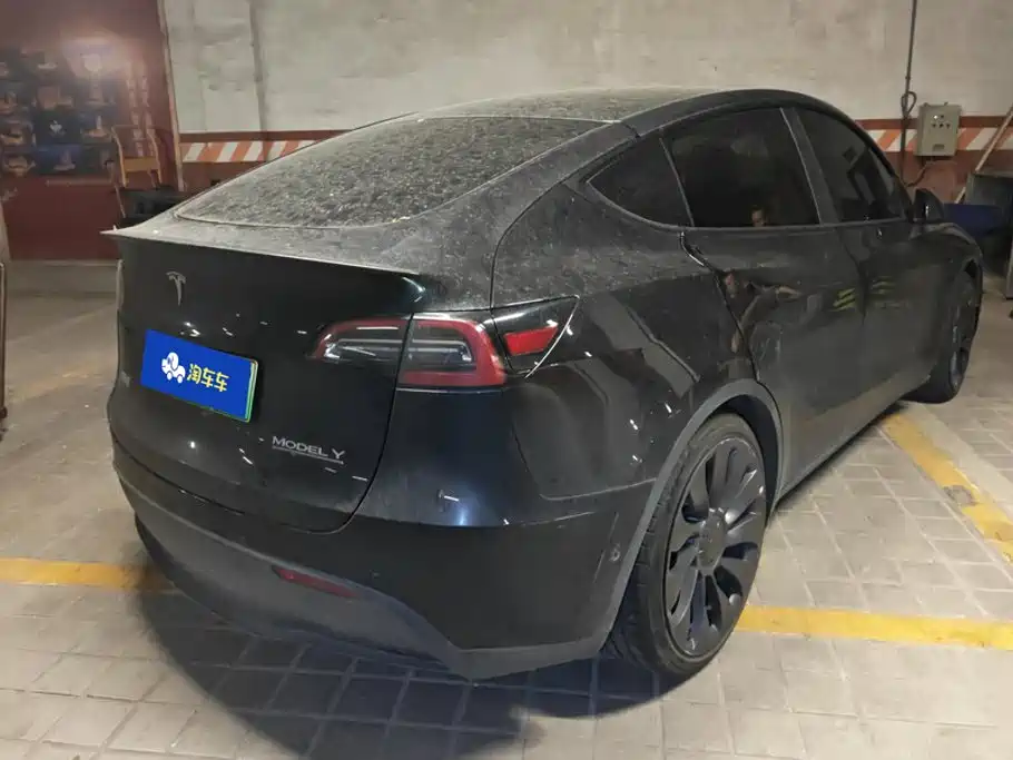 Tesla Model Y — фото 3