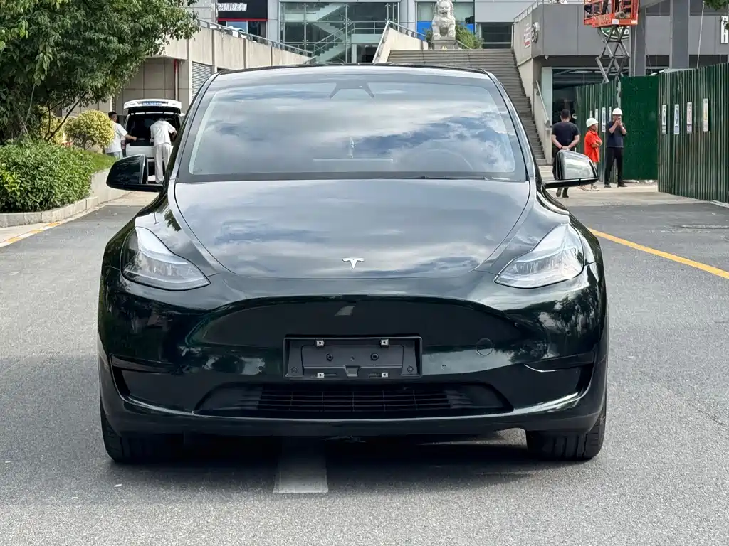 Tesla Model Y — фото 2