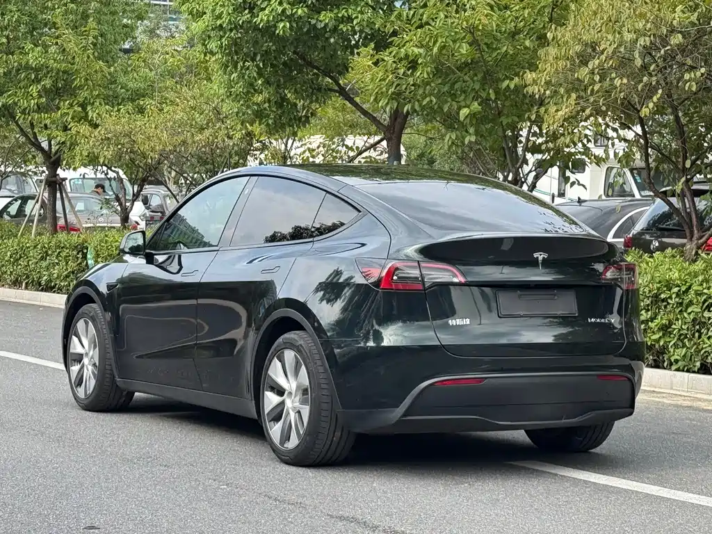 Tesla Model Y — фото 14