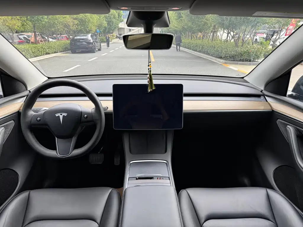 Tesla Model Y — фото 17