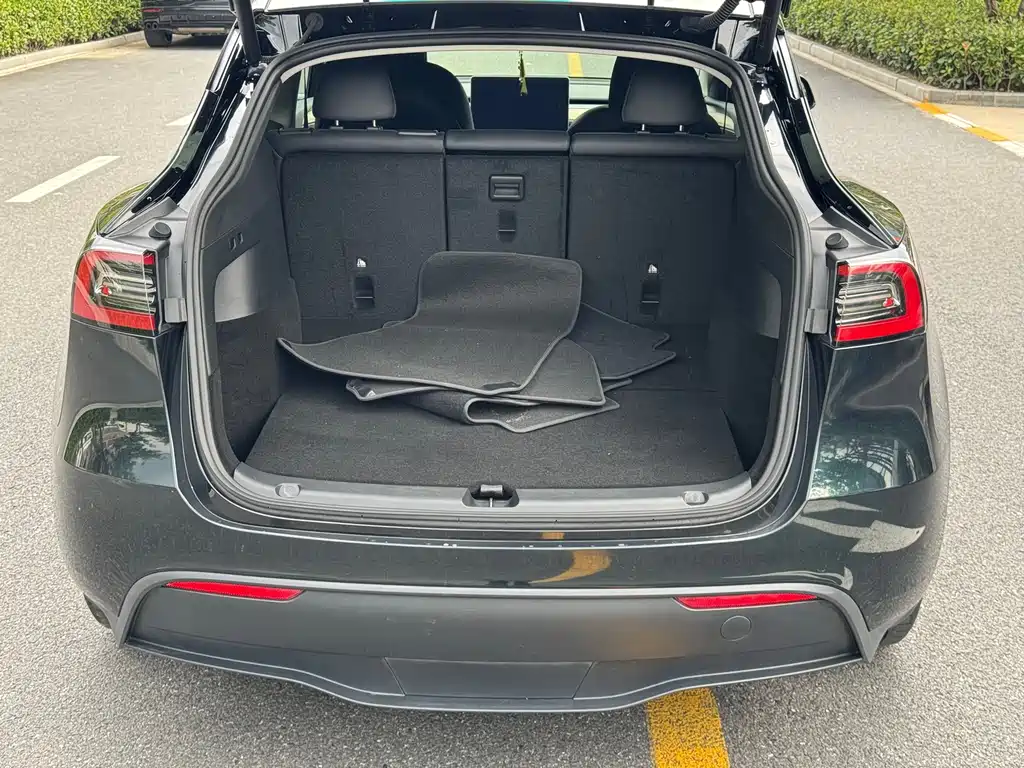 Tesla Model Y — фото 18