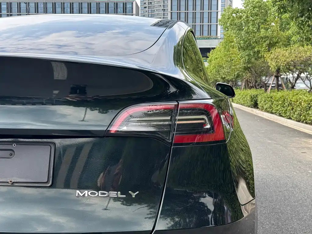 Tesla Model Y — фото 20