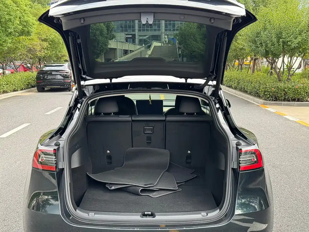 Tesla Model Y — фото 22