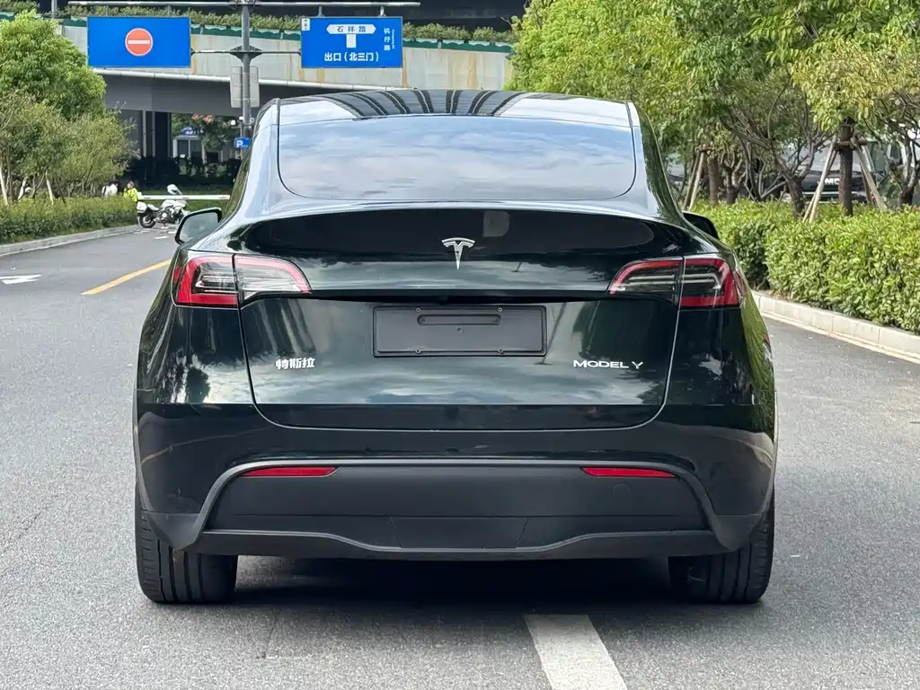 Tesla Model Y — фото 4