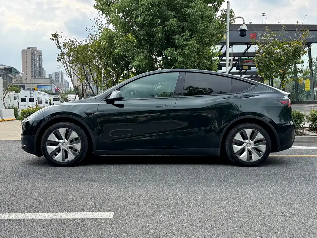 Tesla Model Y — фото 5