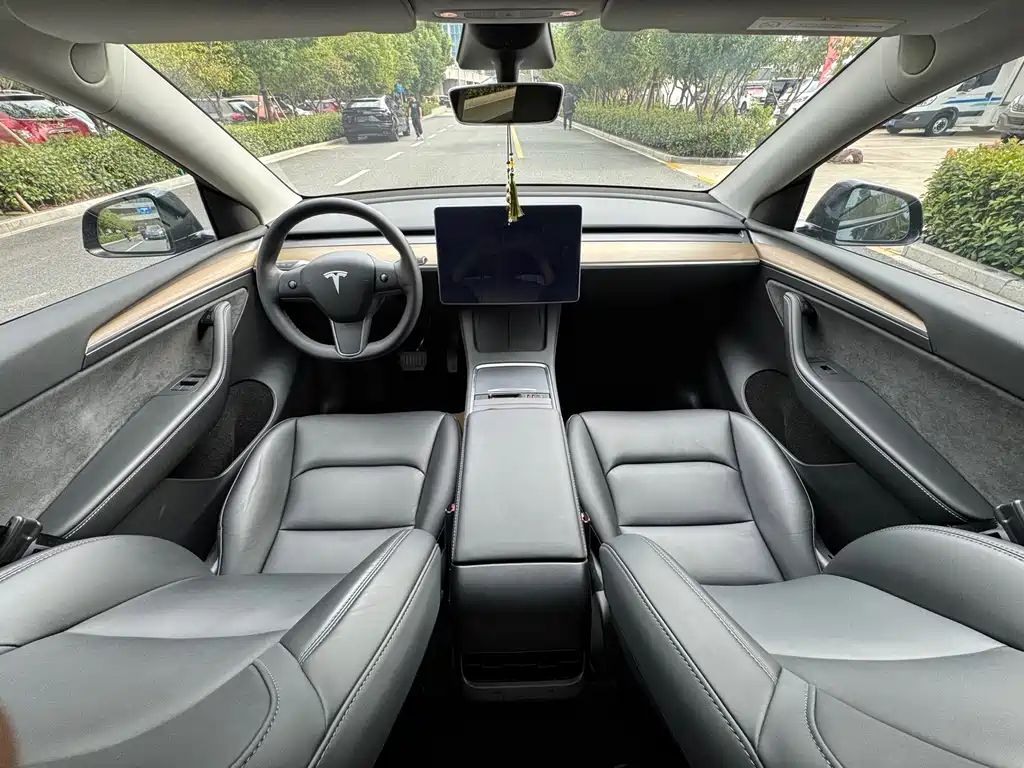 Tesla Model Y — фото 6