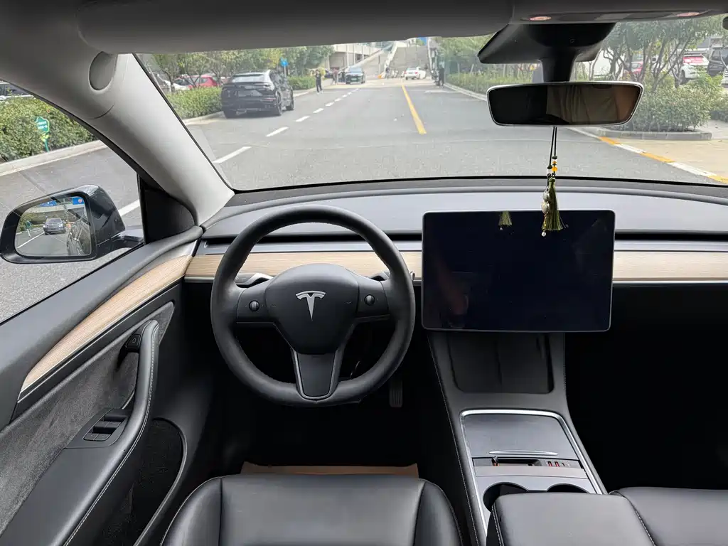 Tesla Model Y — фото 8