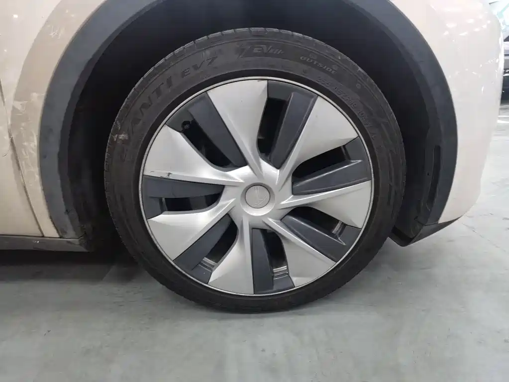 Tesla Model Y — фото 19