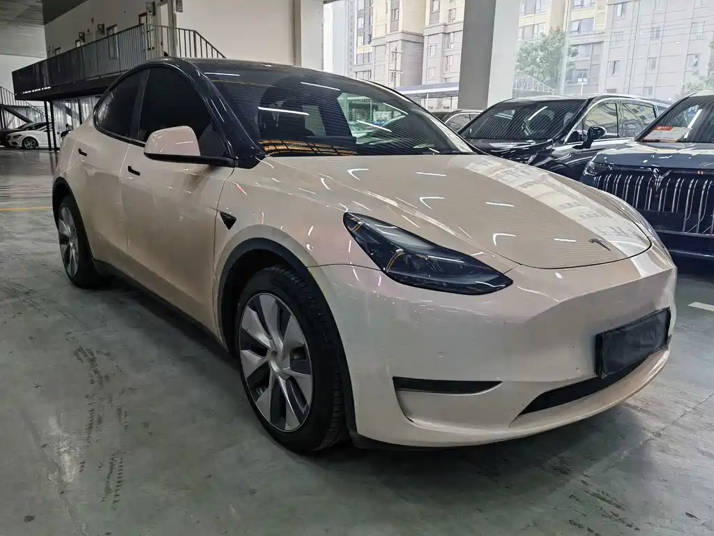 Tesla Model Y — фото 3