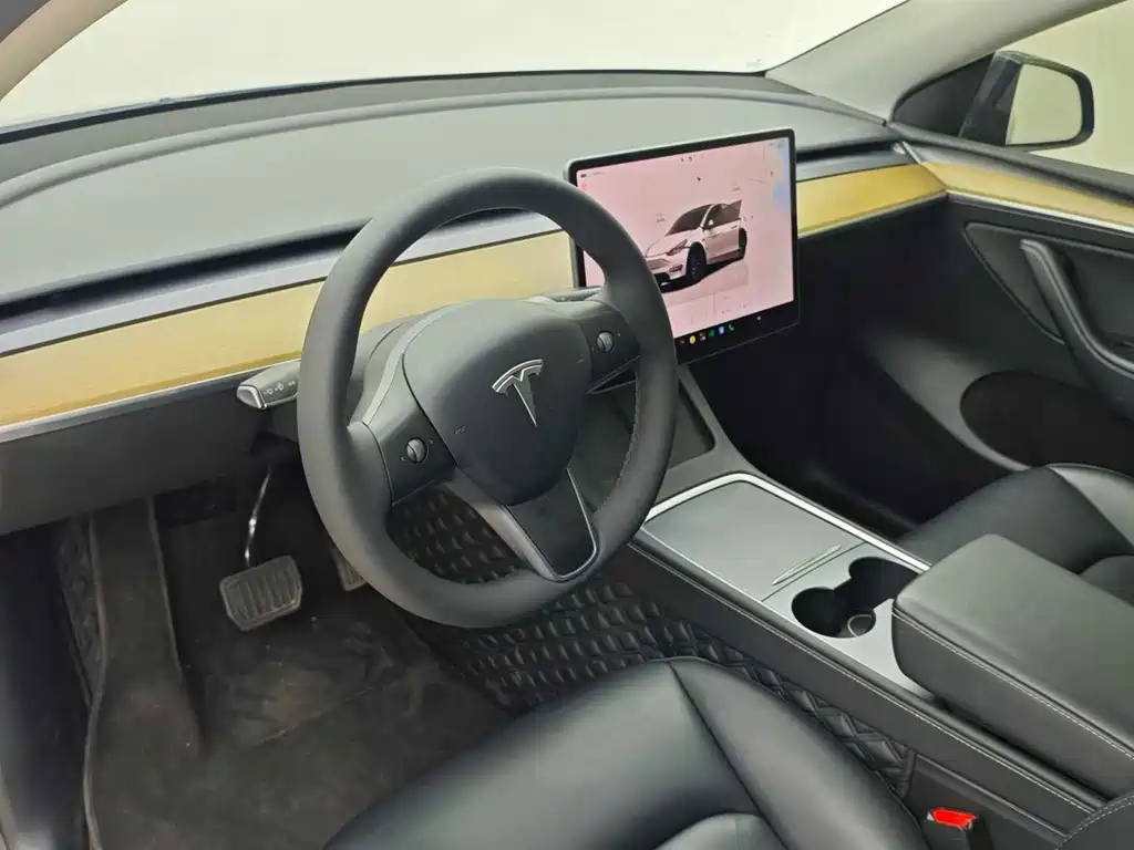 Tesla Model Y — фото 21