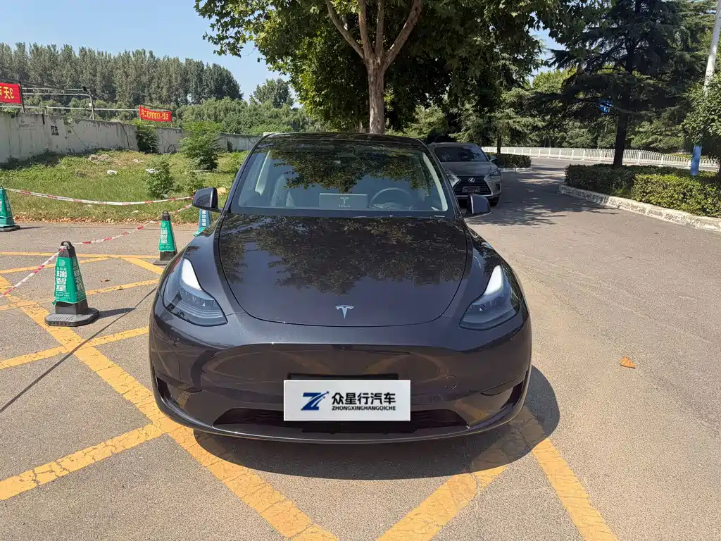 Tesla Model Y — фото 2