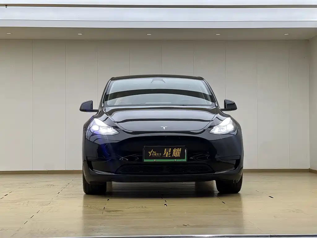 Tesla Model Y — фото 2