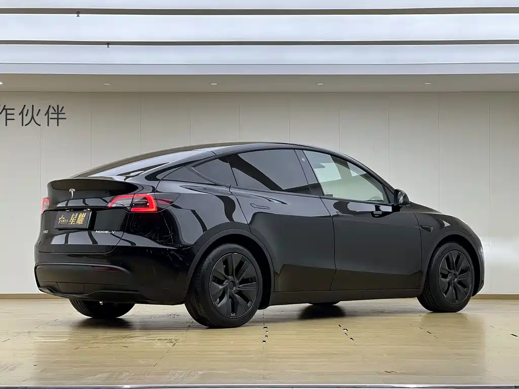 Tesla Model Y — фото 18