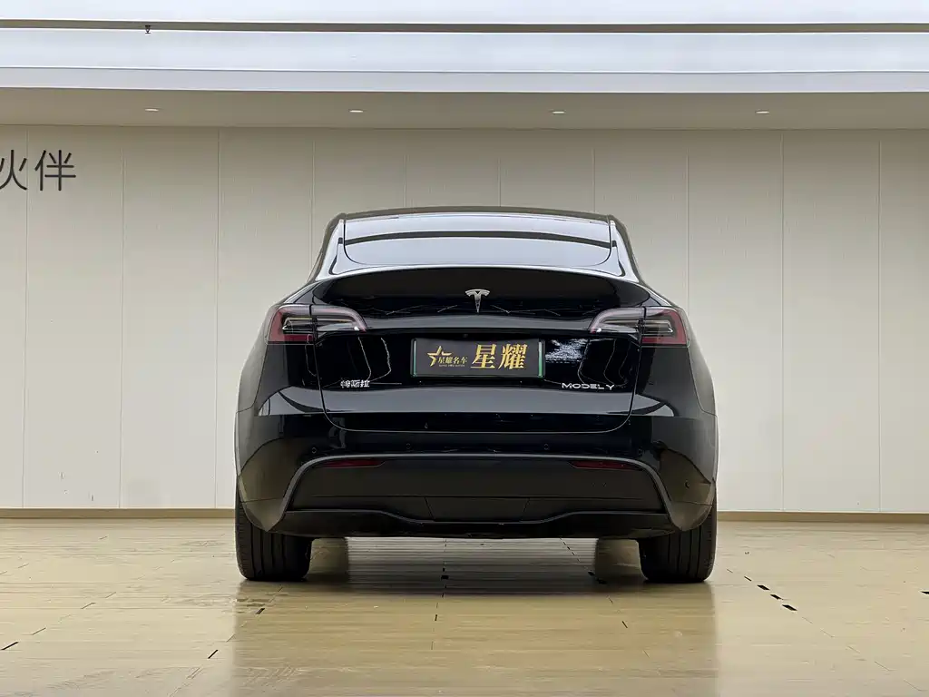 Tesla Model Y — фото 19
