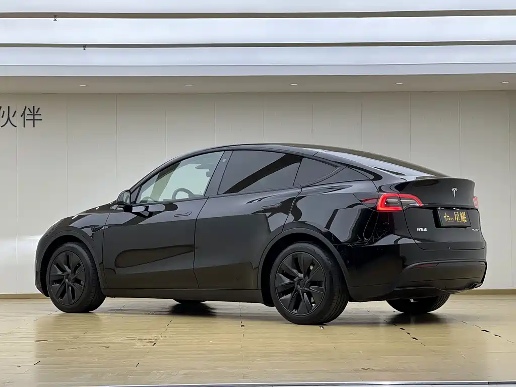 Tesla Model Y — фото 20