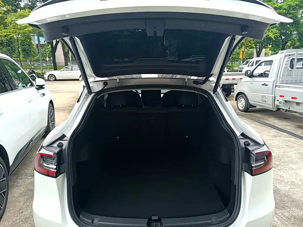 Tesla Model Y — фото 19