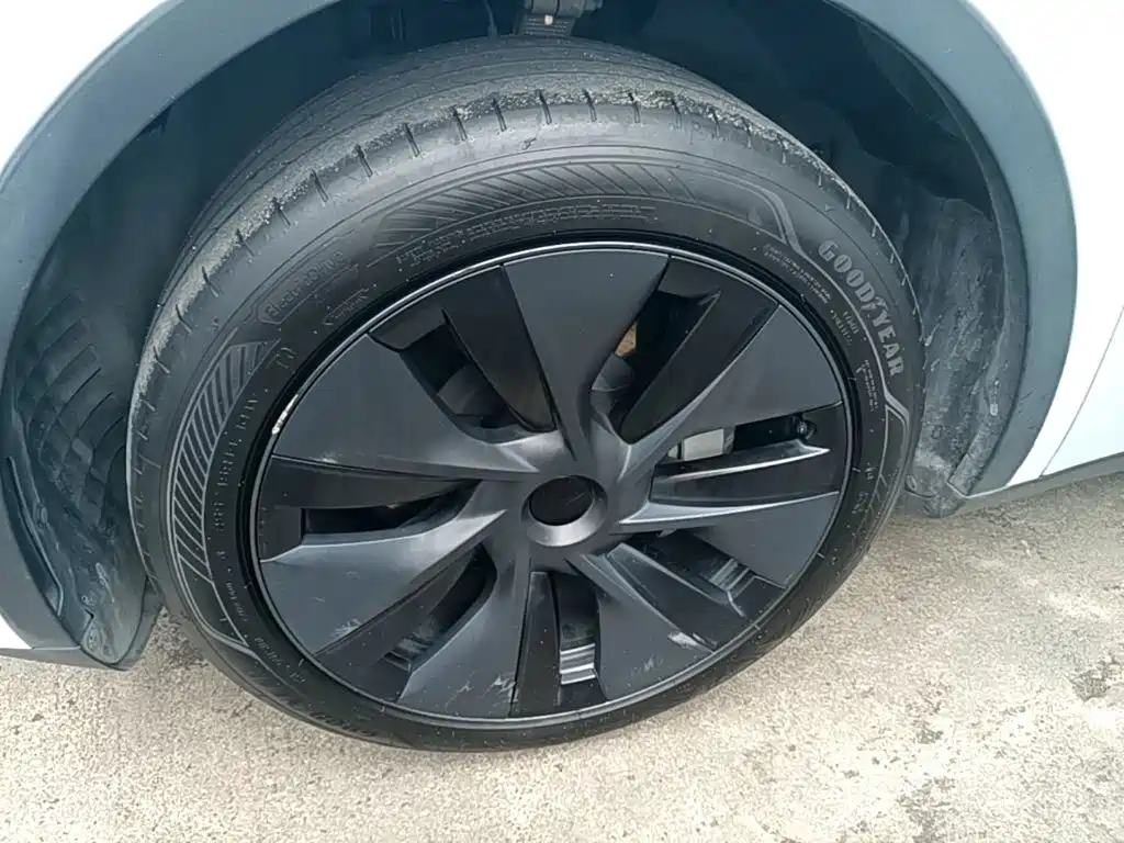 Tesla Model Y — фото 23
