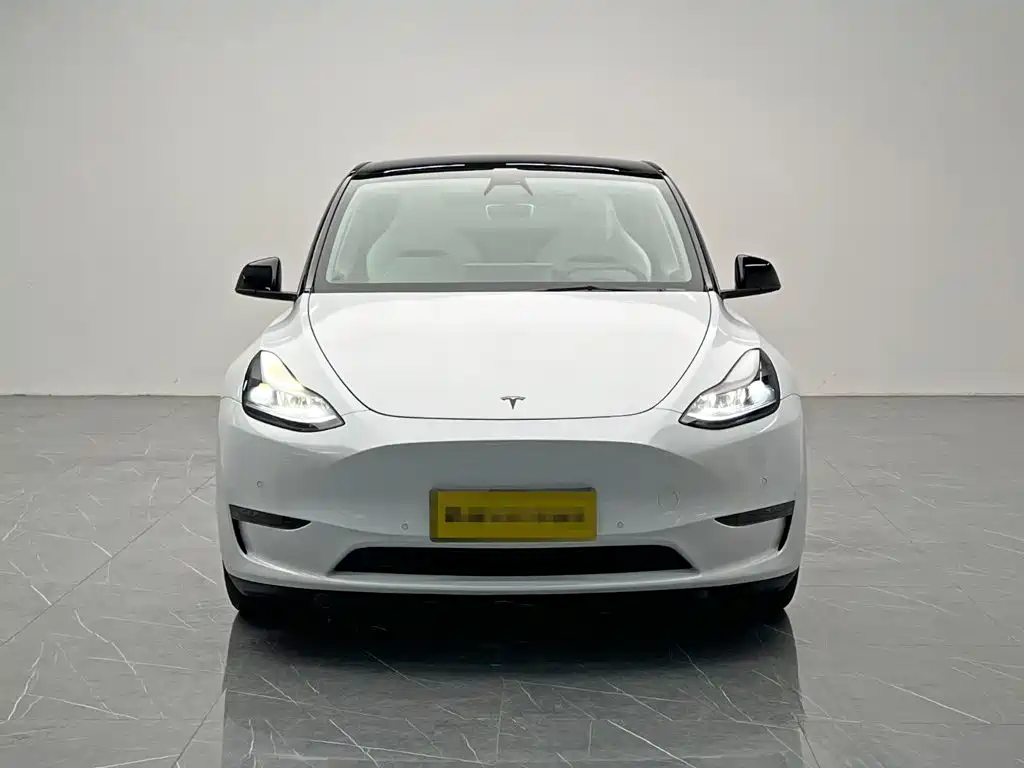 Tesla Model Y — фото 2