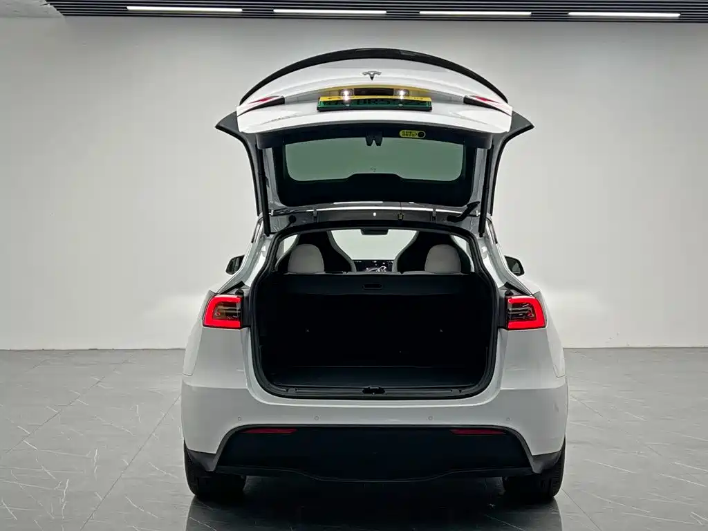 Tesla Model Y — фото 11