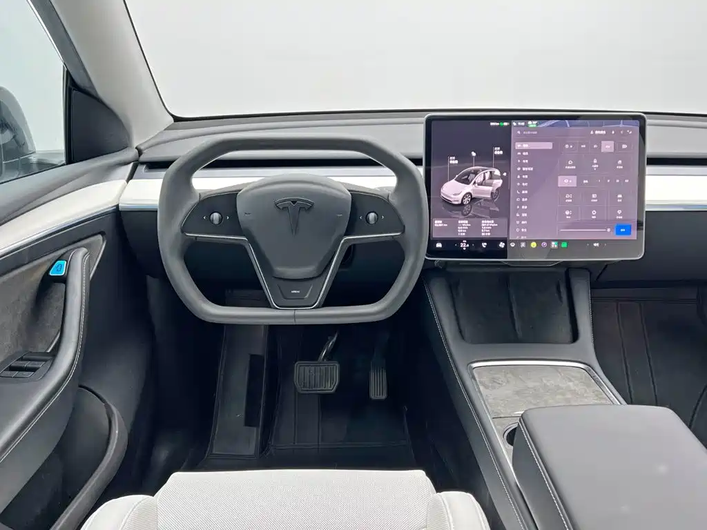 Tesla Model Y — фото 20