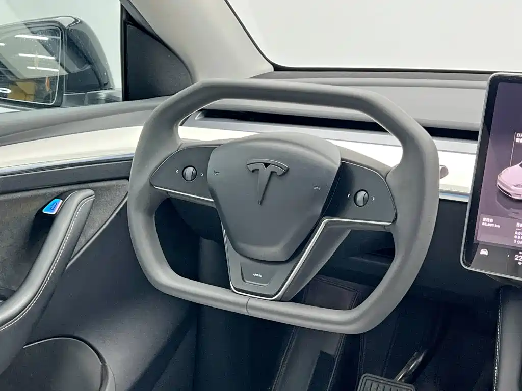 Tesla Model Y — фото 21